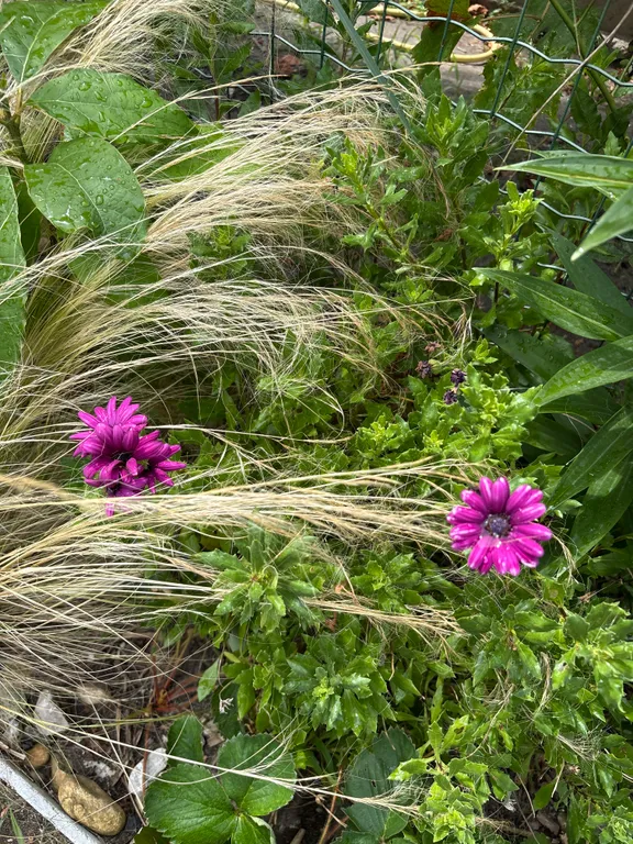 Квартира Делюкс комната с удобствами в лучшем районе Сириуса — Сириус