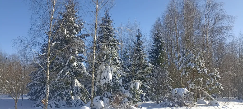 Усадьба Анатолия