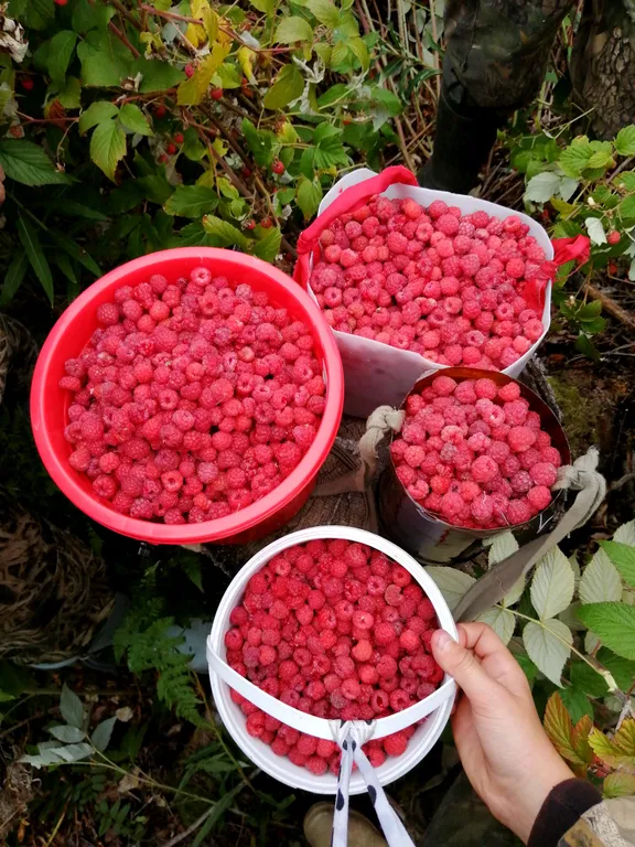 Коттедж Дом с видом на озеро — Крошнозеро