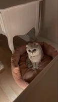 Татьяна Бондаренко