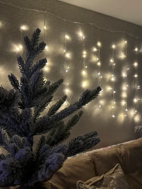 Теплая евродвушка в центре города