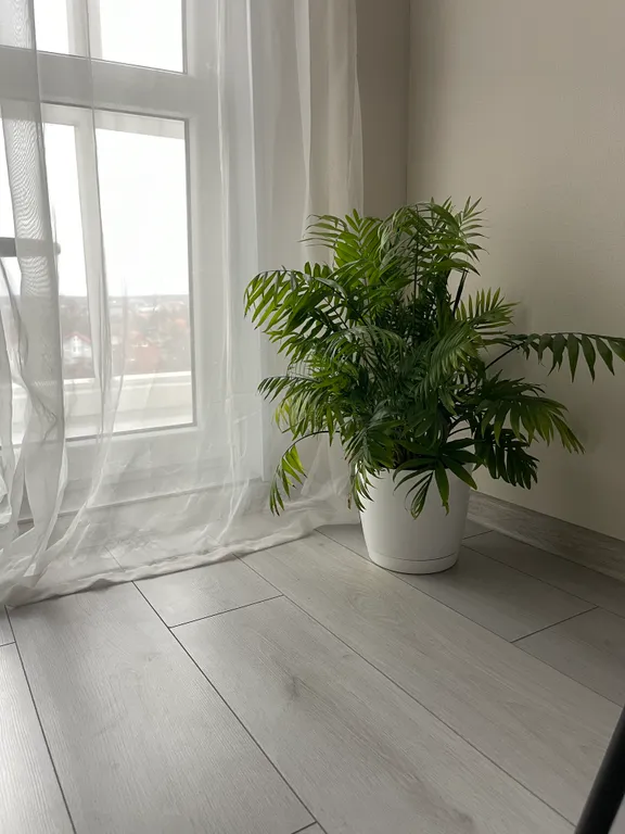 Квартира Уютная квартира с красивым видом из окна — Калининград