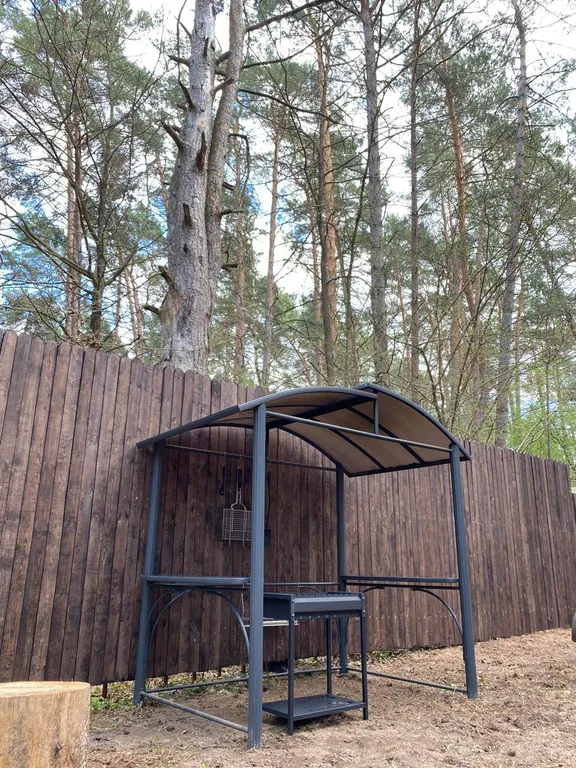 Уютный бревенчатый дом в сосновом бору