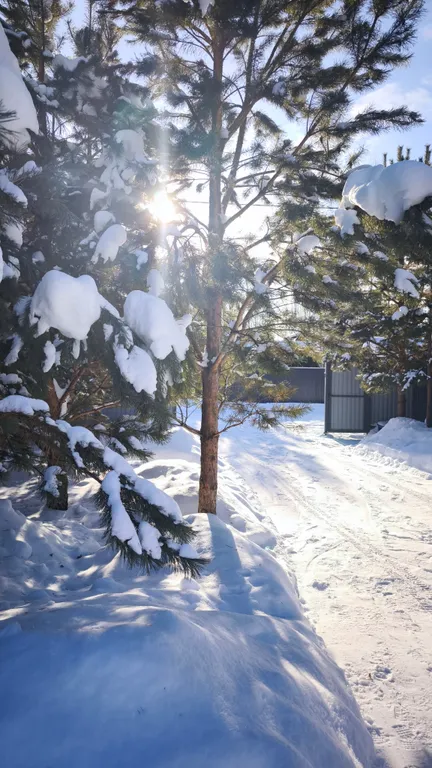 Уютный дом с баней и террасой