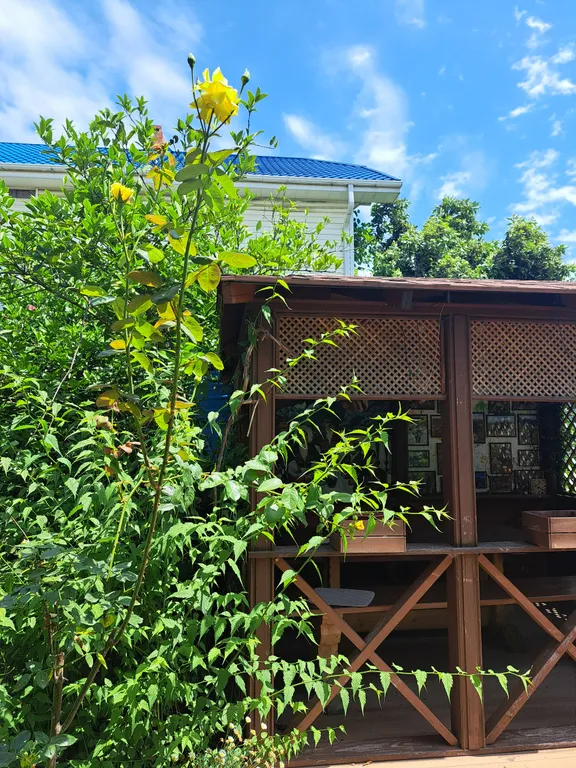 Коттедж Гостевой домик — Сочи