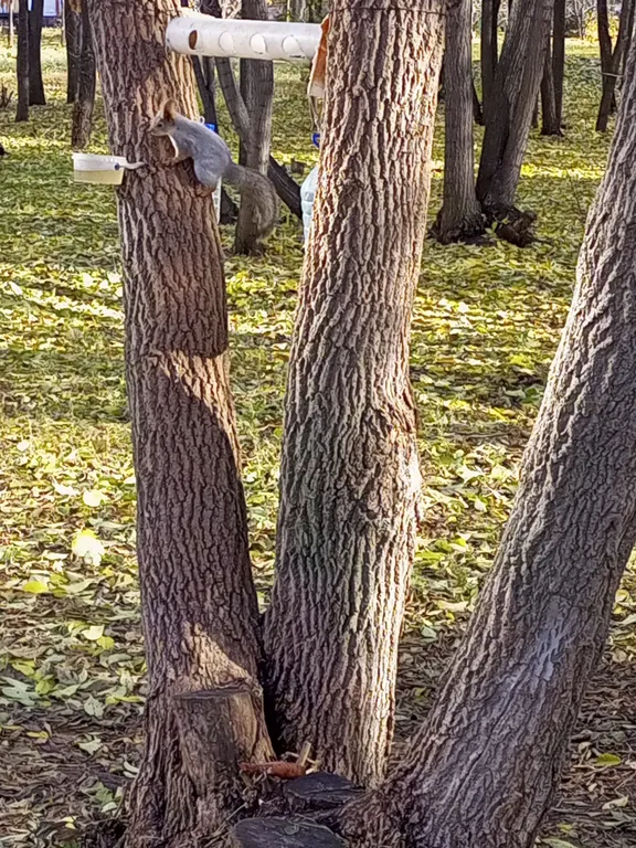 Уютная квартира в сердце города