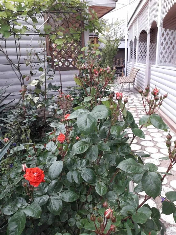 Номер в 150-ти метрах от моря и печаного пляжа