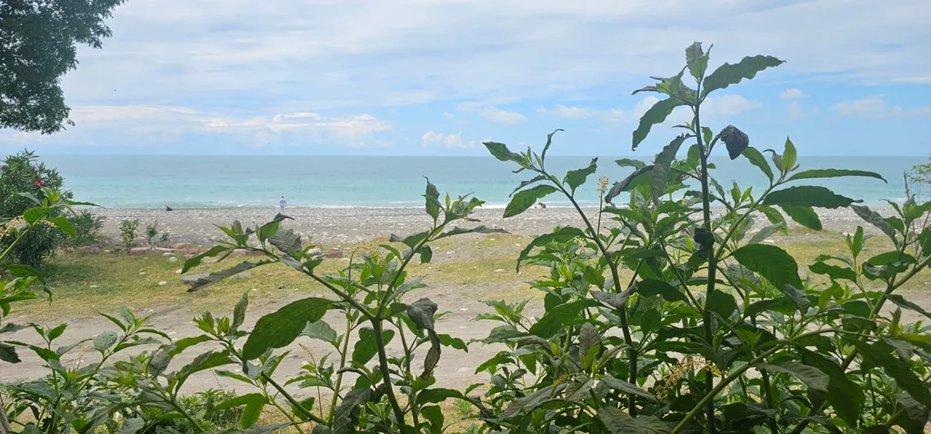 Коттедж у моря (первая линия)