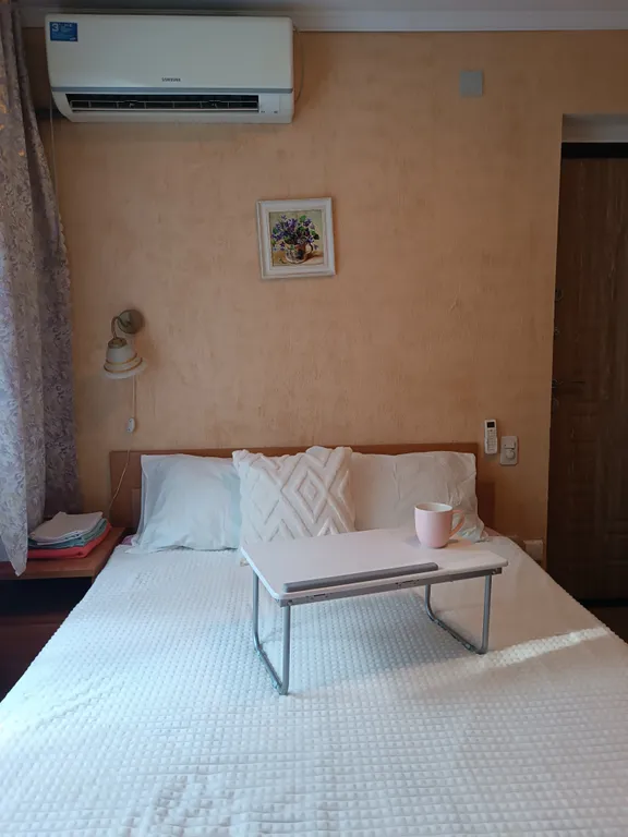 Квартира Квартира Мини-студия в центре Сочи — Сочи