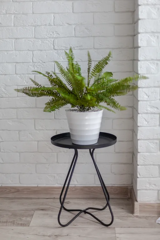 Апартамент в центре