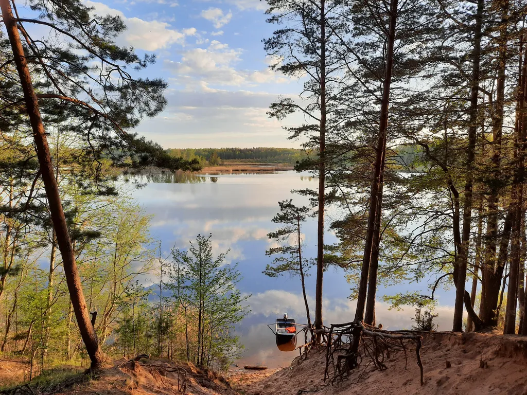 Коттедж Коттедж у озера в лесу — Луга