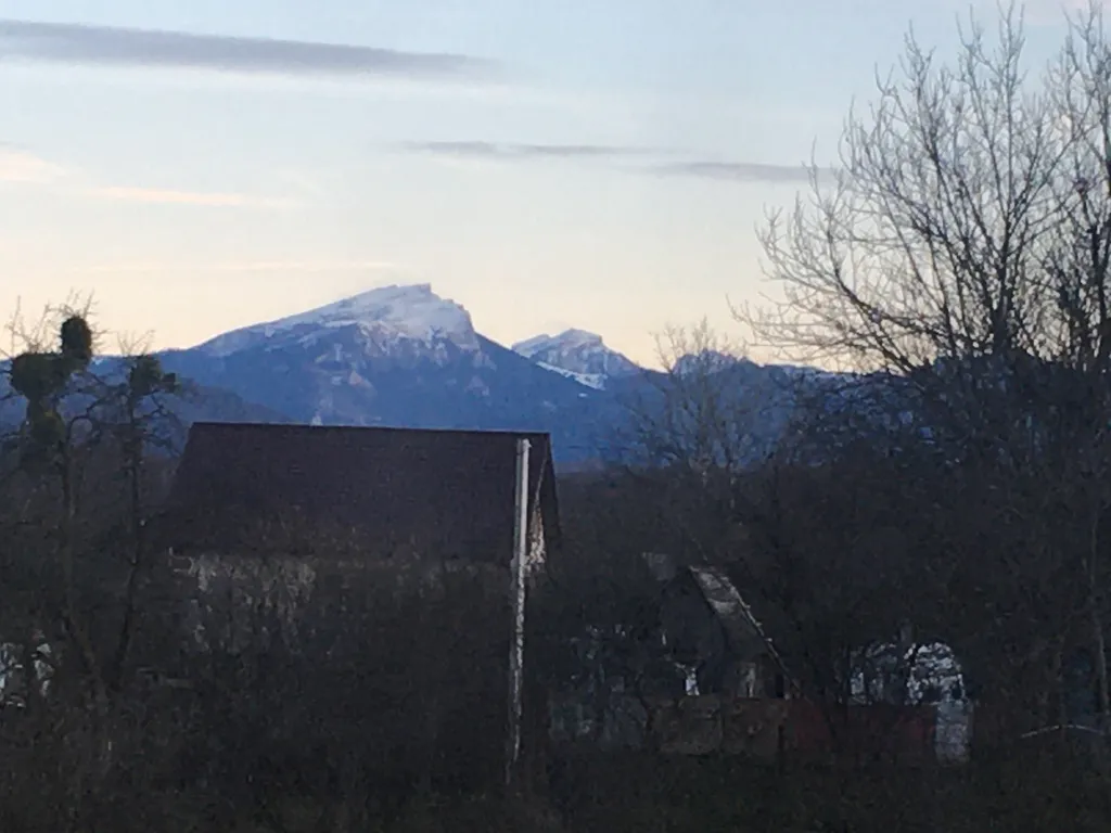 Вилла Абрикос