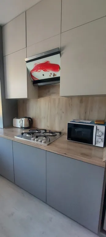 Квартира Стильные апартаменты на первой линии Балтийского моря — Пионерский