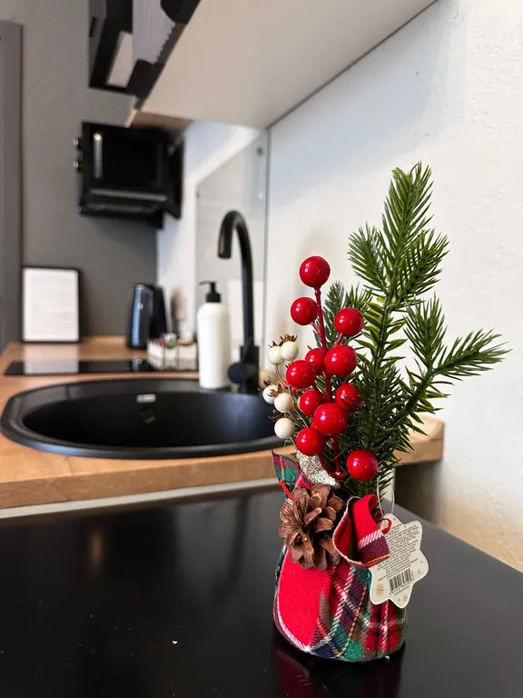 Дизайнерская студия в историческом центре города