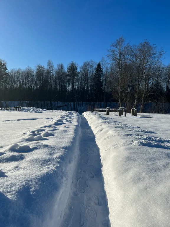 Коттедж Семейный коттедж на берегу реки Лава — Ручьи