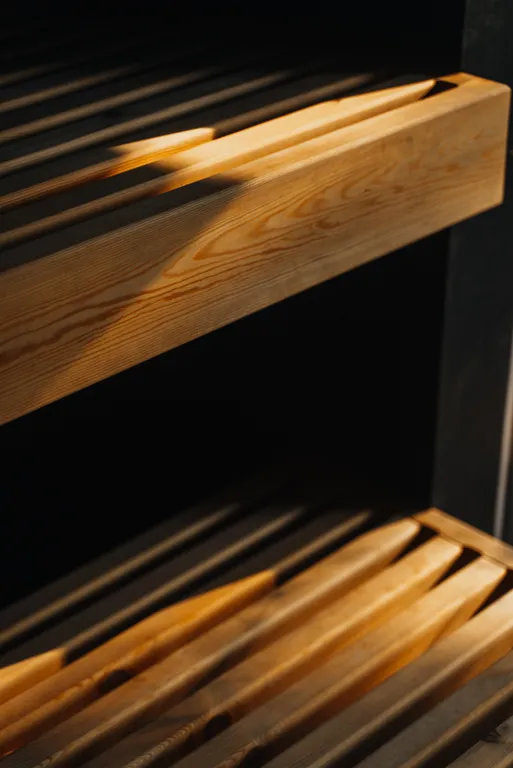 Умный дом с сауной и купелью