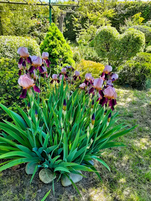 Гостевой дом Anna