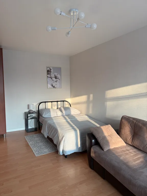 Уютная однокомнатная квартира