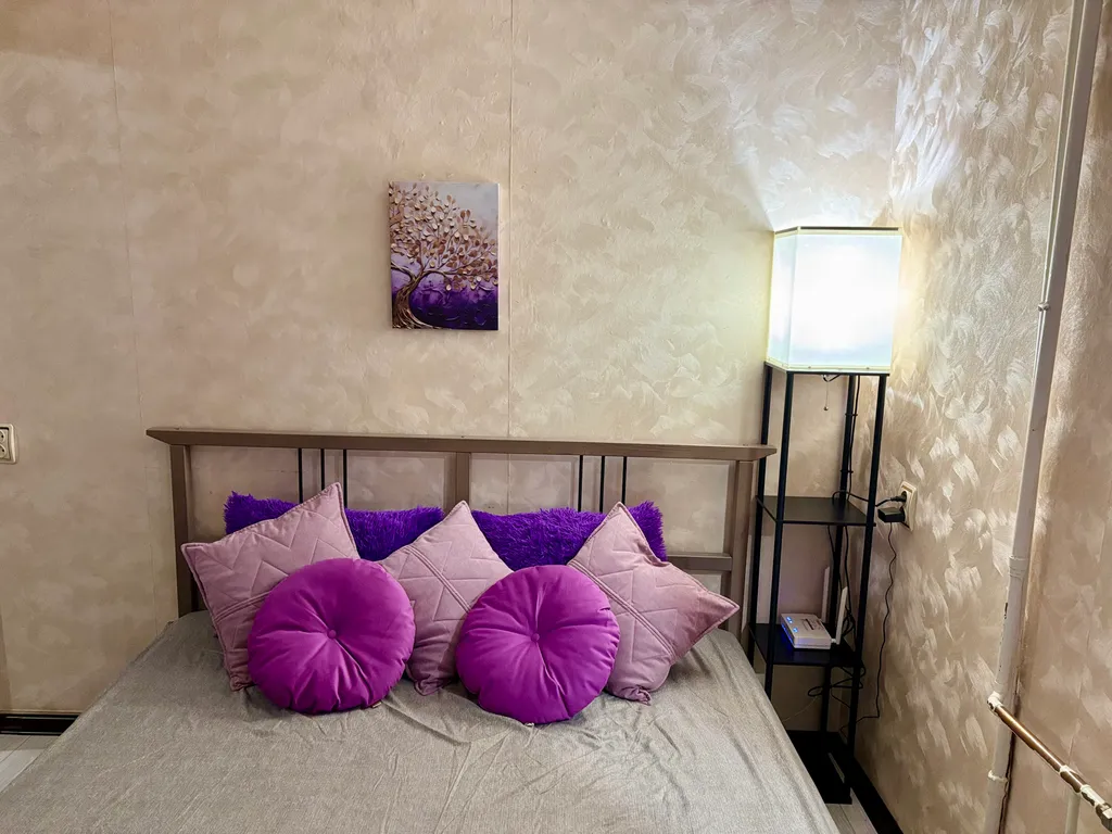 Уютная студия в центре города