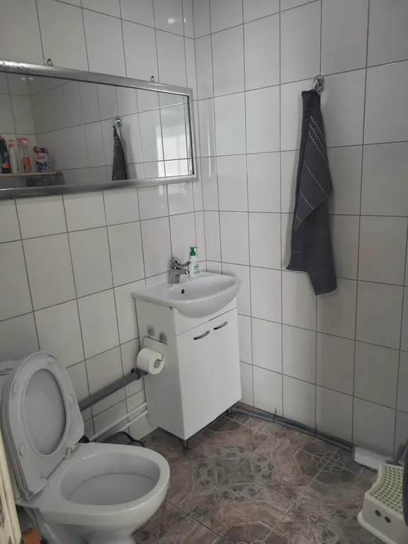 Дом с камином, зоной барбекю, батутом