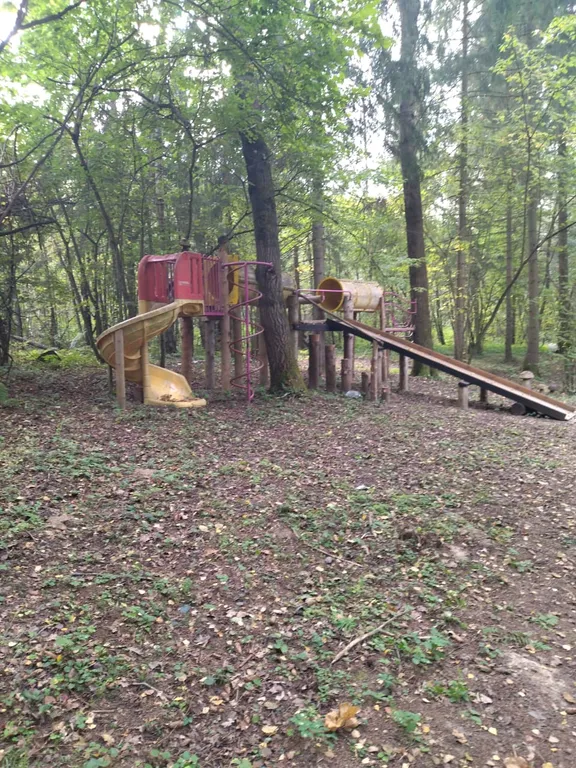 Коттедж Уютный дом в окружении векового леса — Рогачево