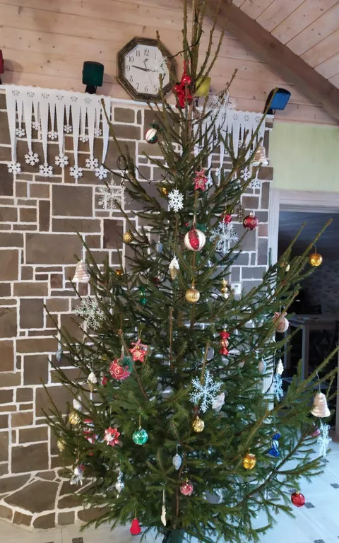 Шале под Минском