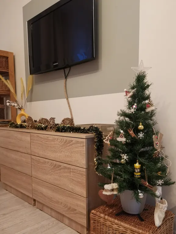 Студия в Эко-стиле