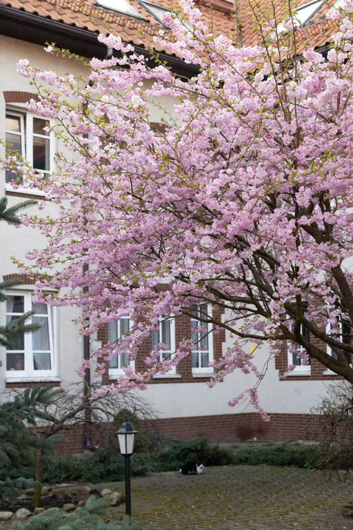 Уютная квартира рядом с морем