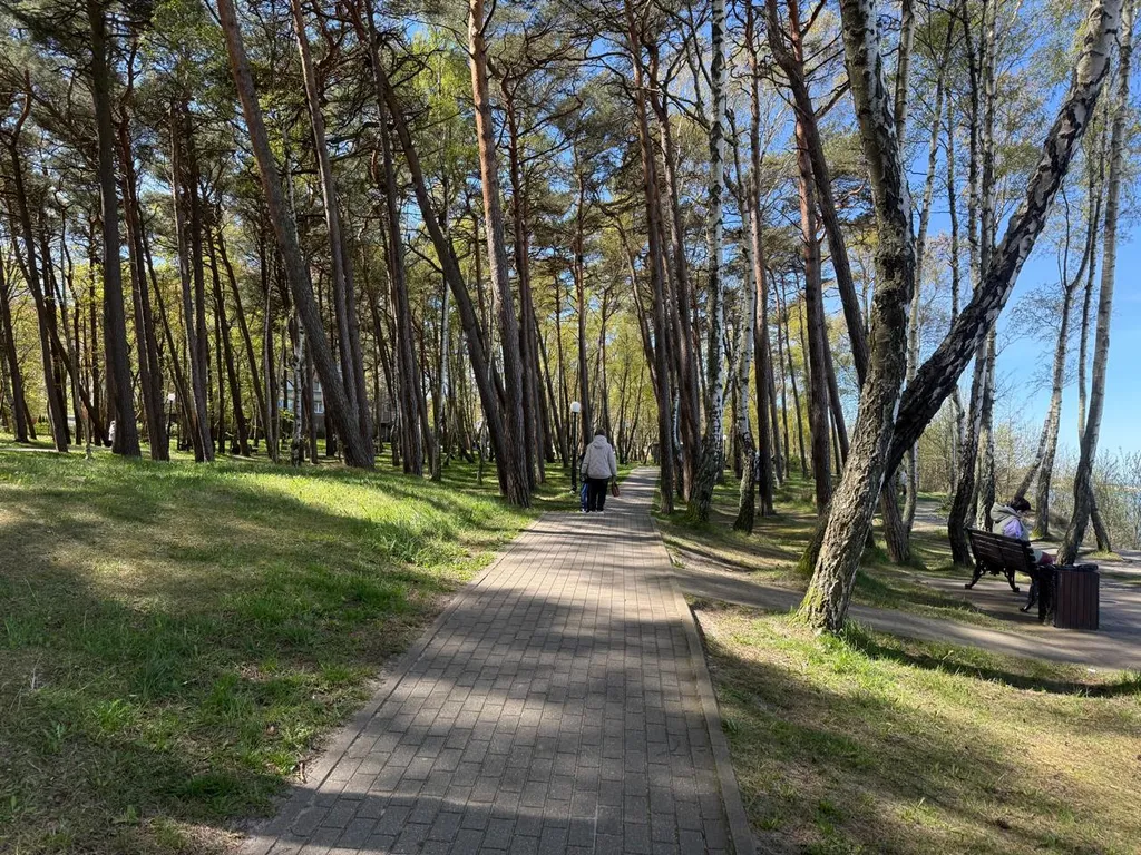 Квартира Уютная квартира с видом на море — Пионерский