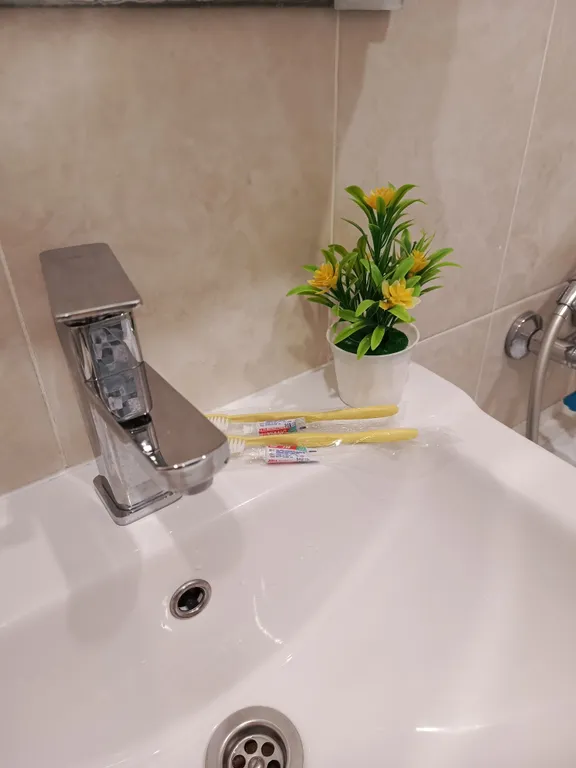 Уютная квартира с видом на величественные снежные горы