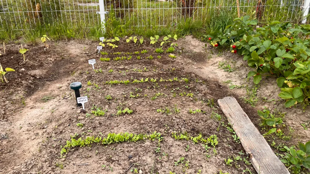 ЭкоДом - Жемчужина Балтики с Мини-Садом