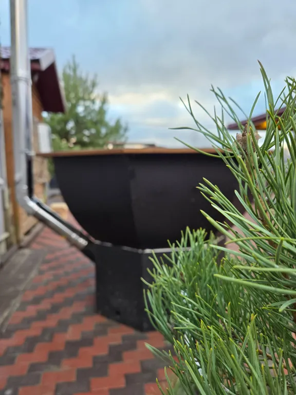 Демидовские бани