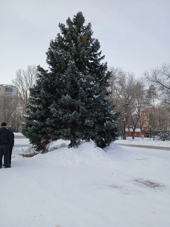 Квартира в доме-памятнике Масляева! Станьте частью истории Волгограда!
