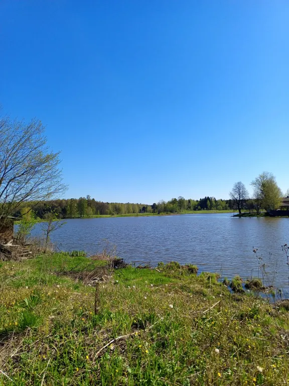 Коттедж Уютный дом с видом на лес и реку — Софрино