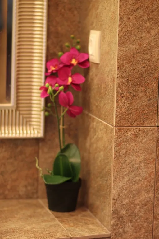 Лучший комплекс города