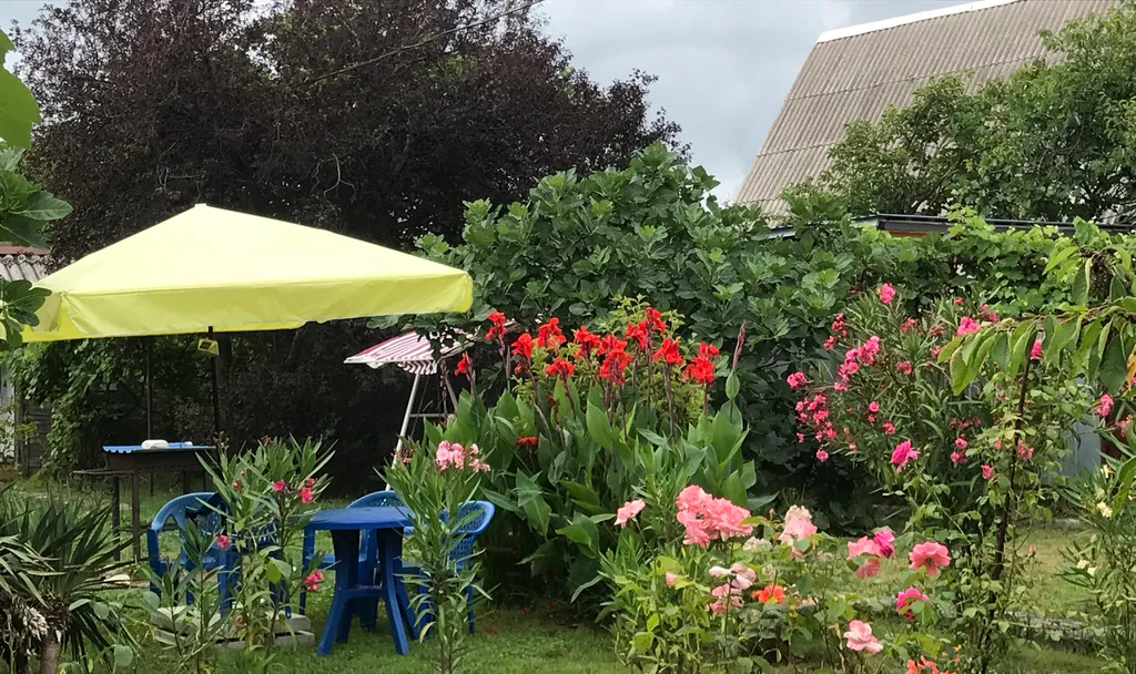 Половина дома с отдельным входом, с садом на берегу Чёрного моря