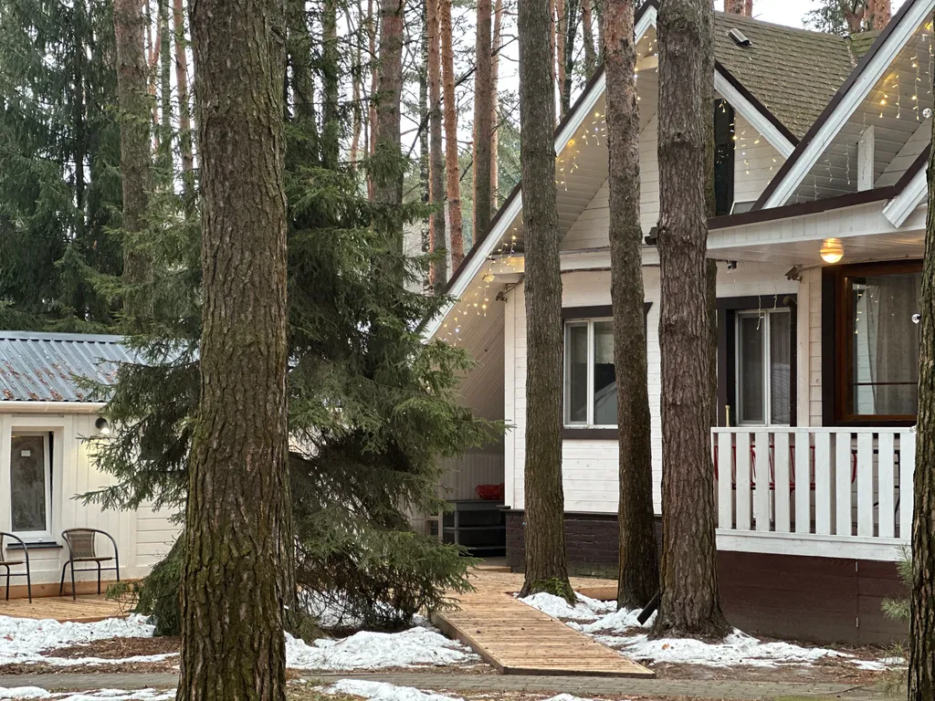 Загородный дом в соснах недалеко от Москвы