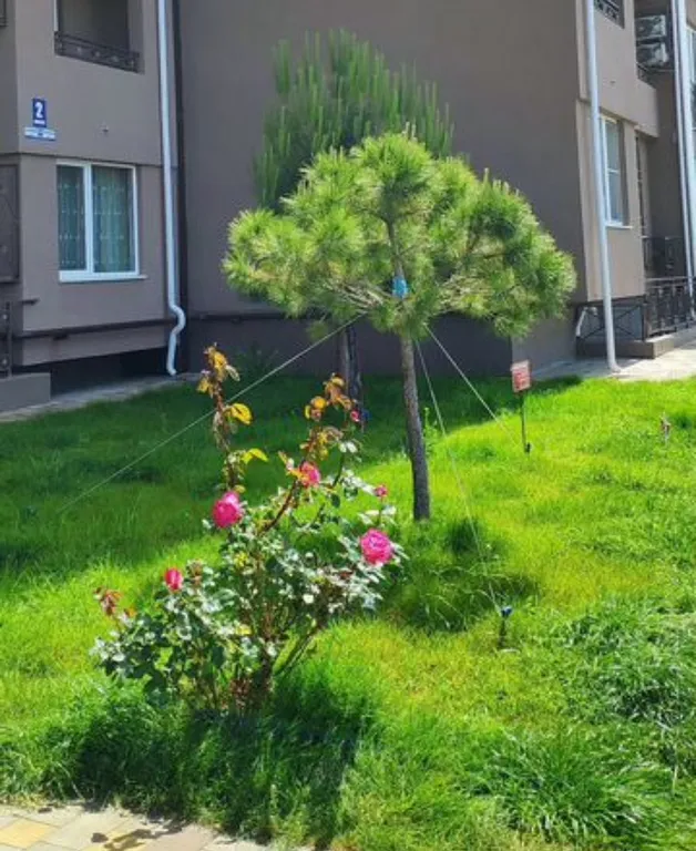 Современная и очень уютная студия в ЖК "Семейный", центр п.Лазаревское