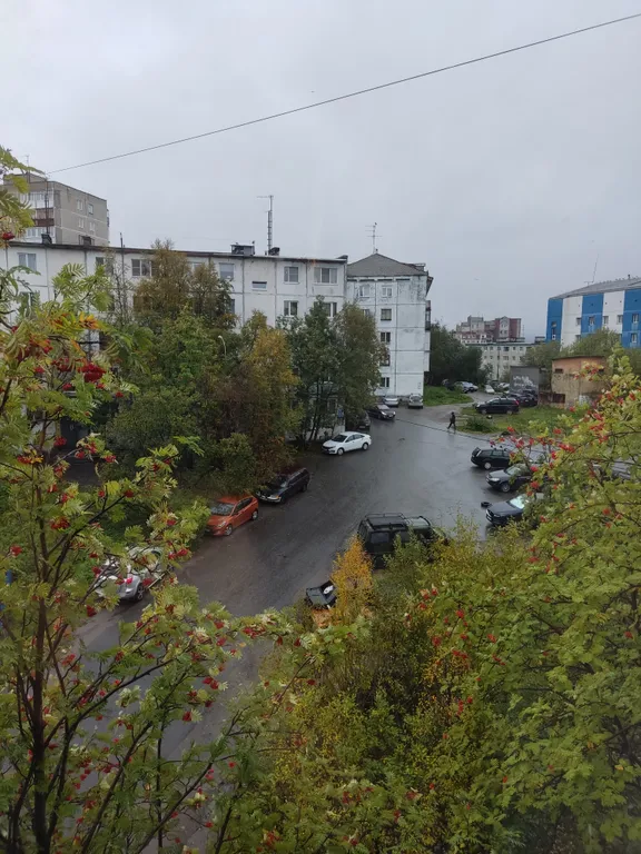 Уютная студия рядом с рестораном Тундра и ТЦ Плазма