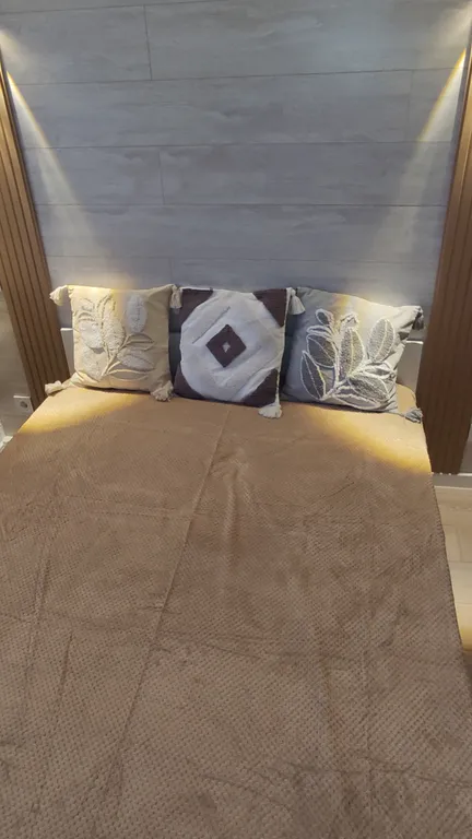 Питерский вайб у цирка