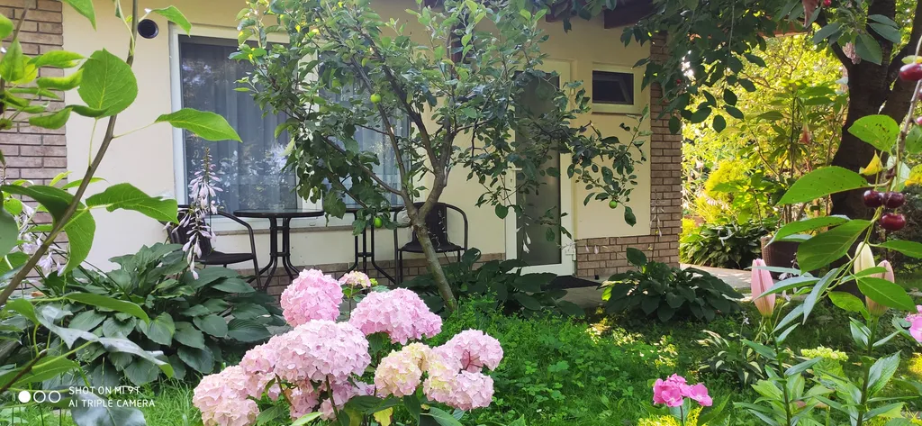 Студия с видом на сад