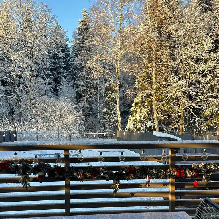 Уютный дом с панорамным видом на лес