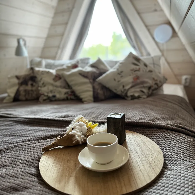 Треугольный дом A-frame