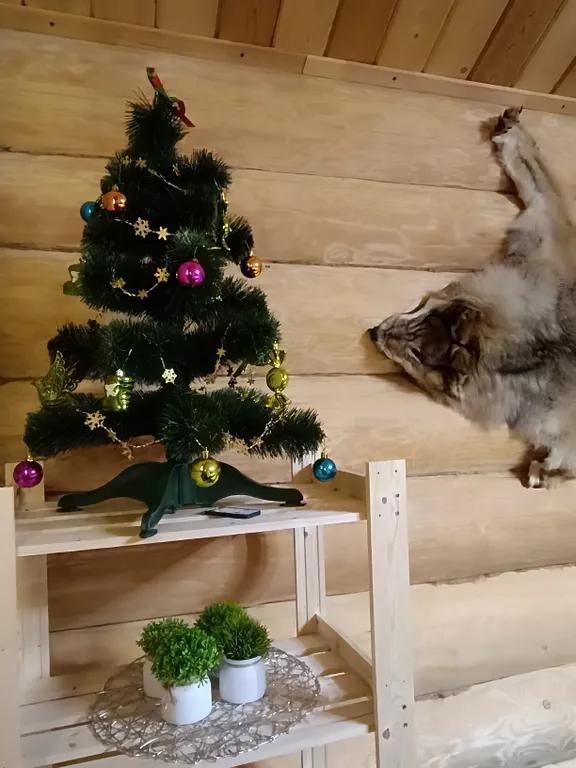 Дом-баня Дом охотника на берегу озера Нигозеро