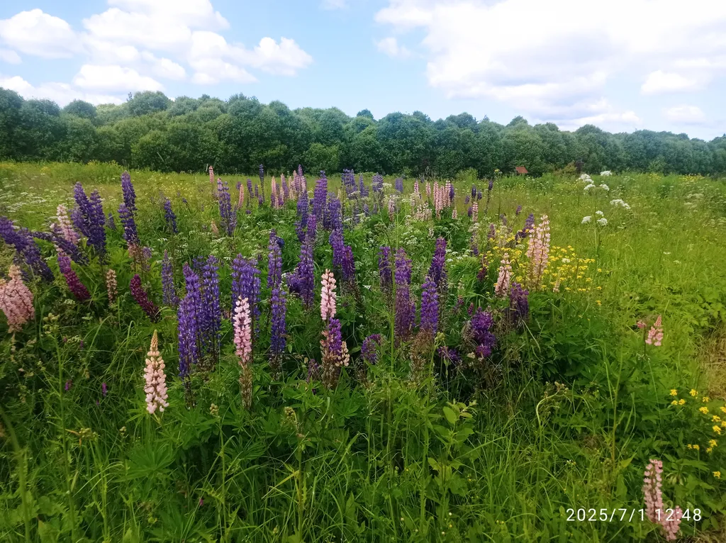 Апартаменты с камином