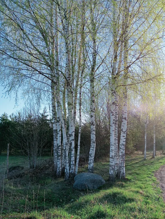 Коттеджи в Кириллово