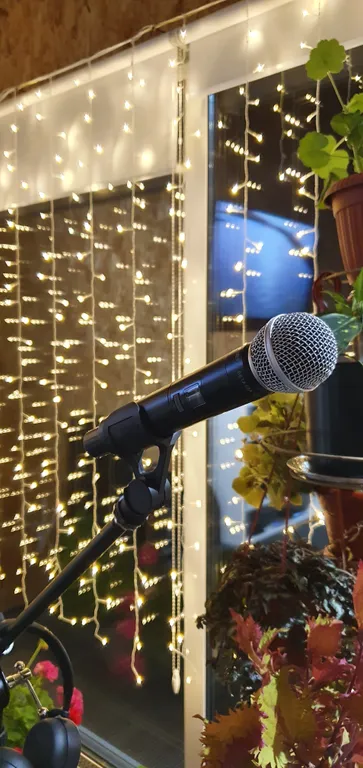 Коттедж FLIGELMUZ (Загородный Музыкальный Флигель). — Северская