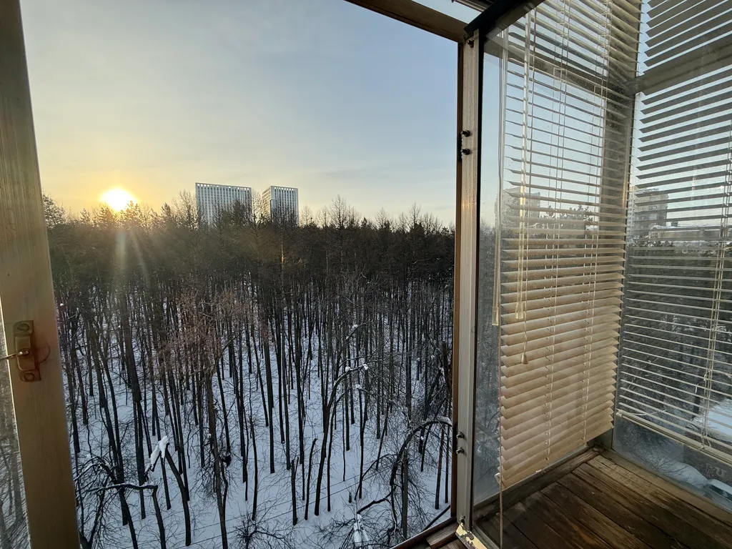 Уютная квартира с видом на парк