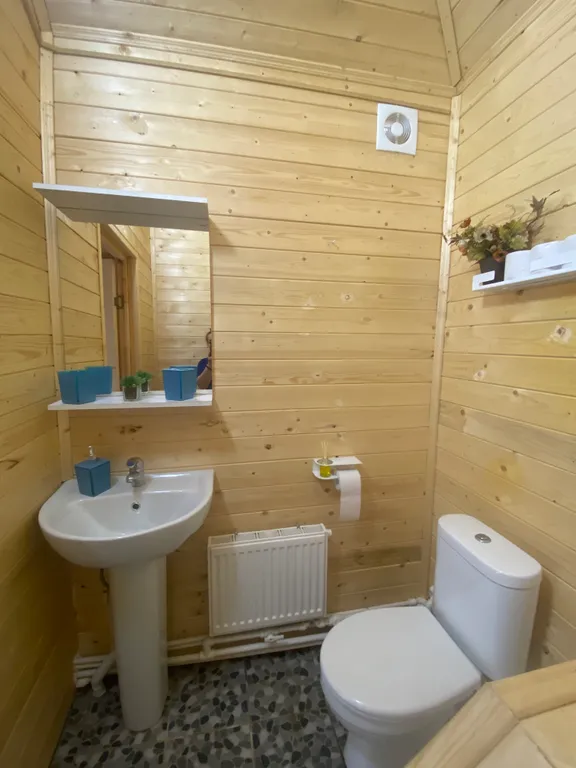 Домик рядом с Невой