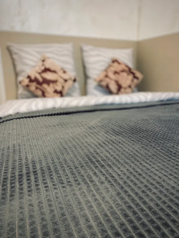 Светлая просторная квартира в центре города